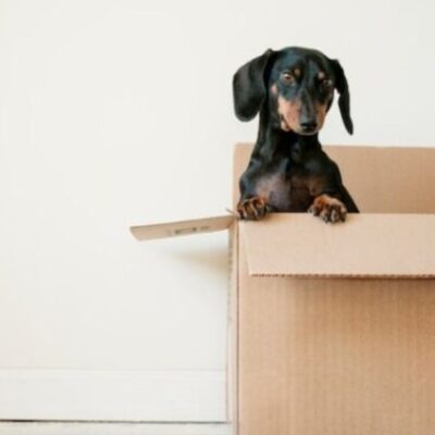 Experts, what are ways to make moving apartments/houses less stressful?
